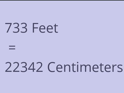 733 FEET TO CM