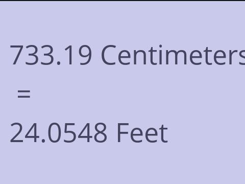 733.19 CM TO FEET