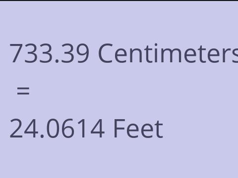 733.39 CM TO FEET