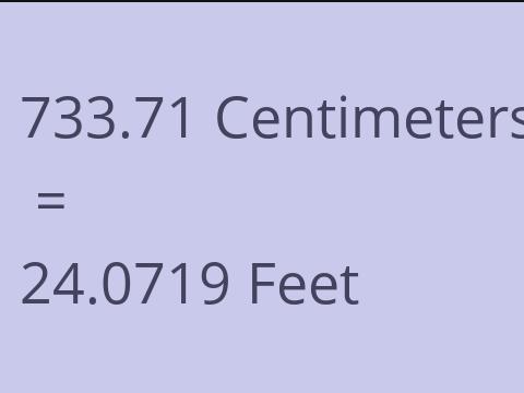 733.71 CM TO FEET