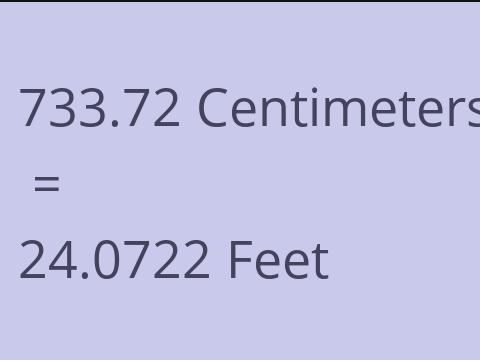 733.72 CM TO FEET