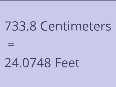 733.8 CM TO FEET