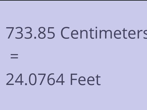 733.85 CM TO FEET