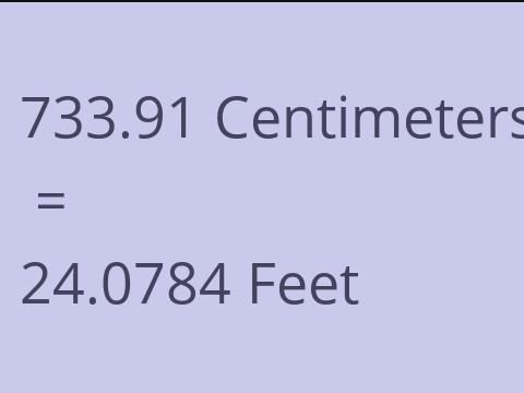 733.91 CM TO FEET