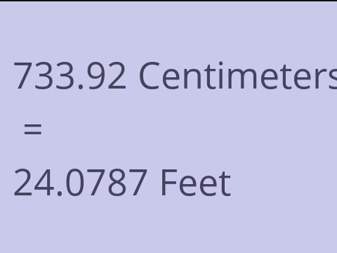 733.92 CM TO FEET