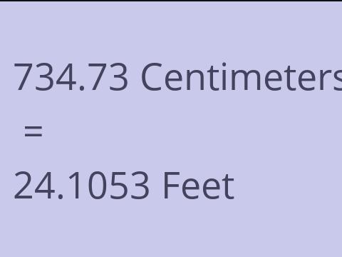 734.73 CM TO FEET