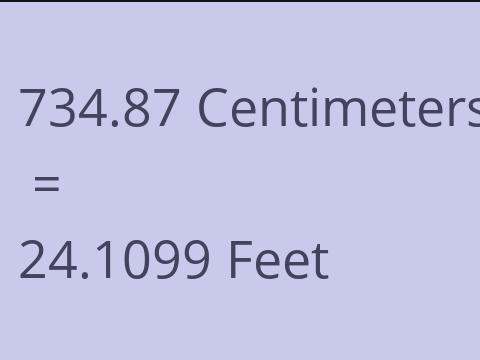 734.87 CM TO FEET