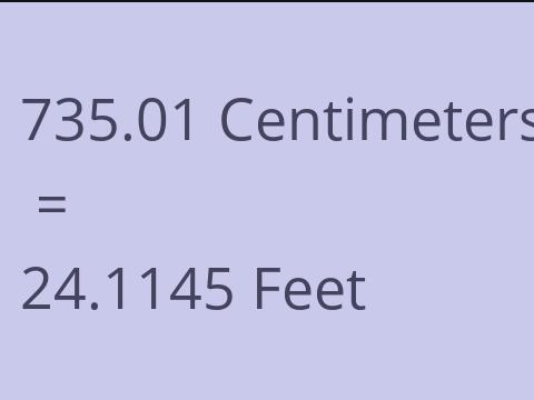 735.01 CM TO FEET