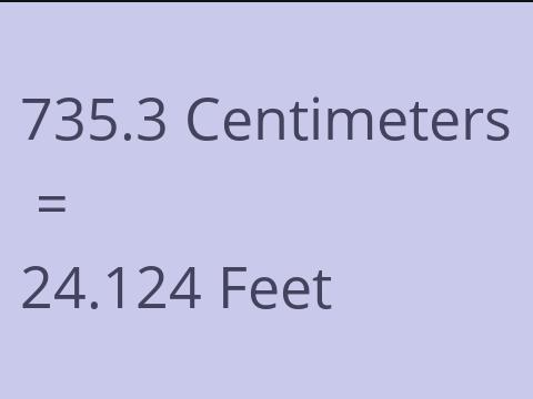 735.3 CM TO FEET