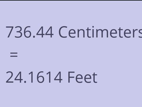 736.44 CM TO FEET