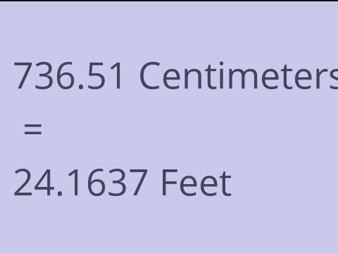 736.51 CM TO FEET