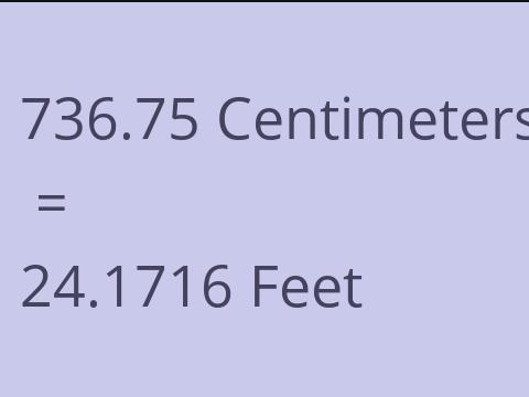 736.75 CM TO FEET