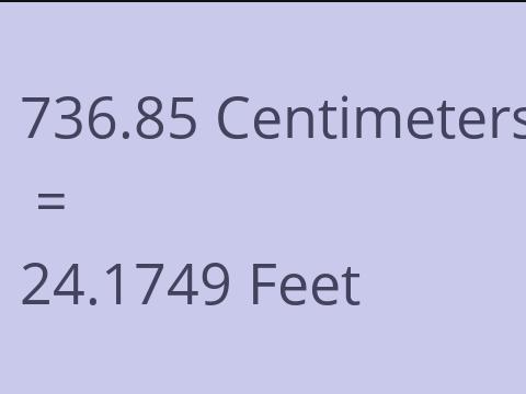 736.85 CM TO FEET