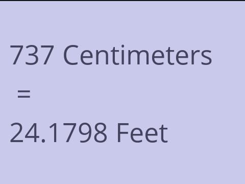 737 CM TO FEET