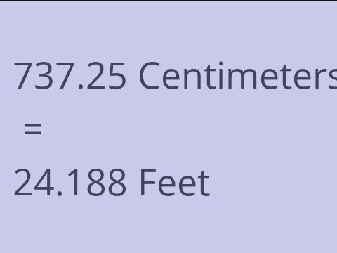 737.25 CM TO FEET