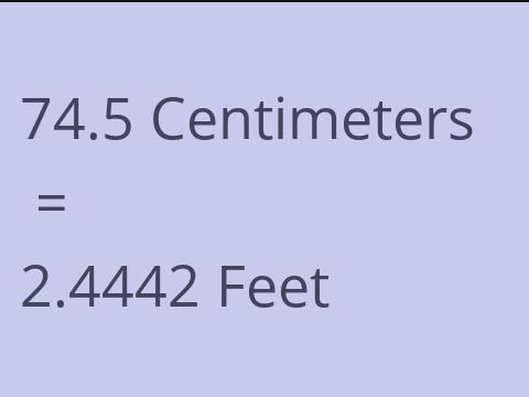 74.5 CM TO FEET