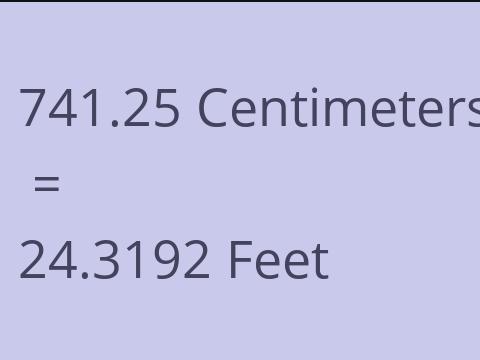 741.25 CM TO FEET