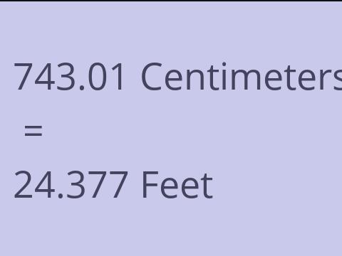 743.01 CM TO FEET