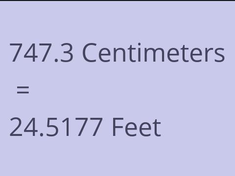 747.3 CM TO FEET