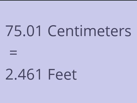 75.01 CM TO FEET