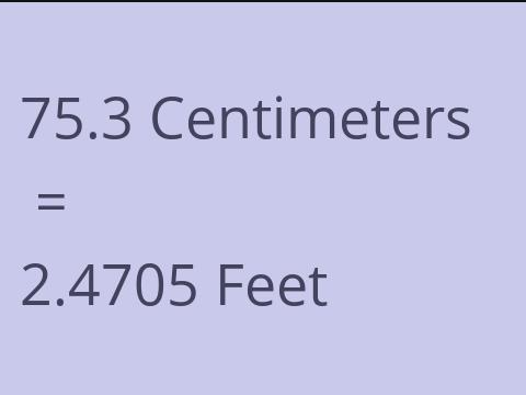 75.3 CM TO FEET