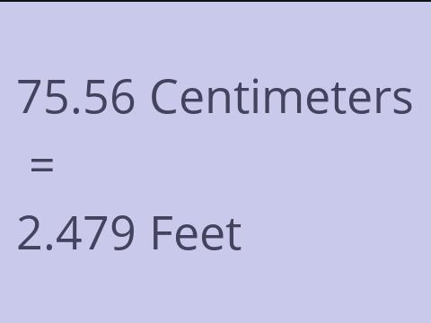 75.56 CM TO FEET