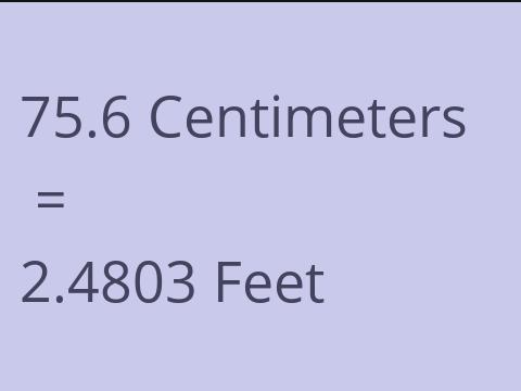 75.6 CM TO FEET