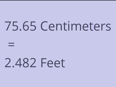 75.65 CM TO FEET