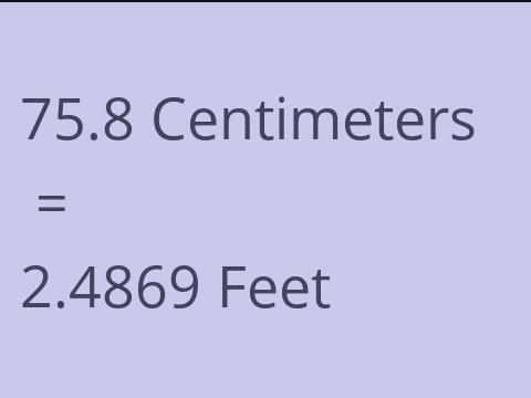 75.8 CM TO FEET