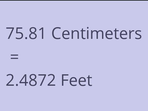 75.81 CM TO FEET