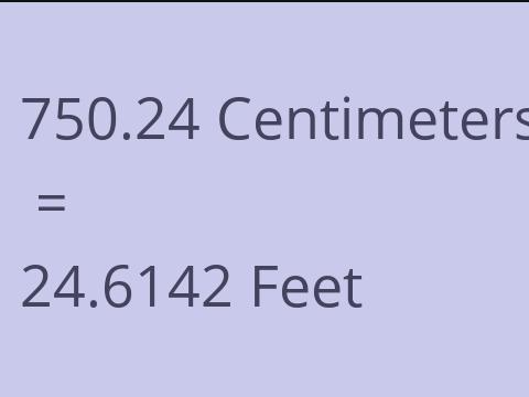 750.24 CM TO FEET