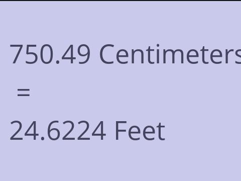 750.49 CM TO FEET