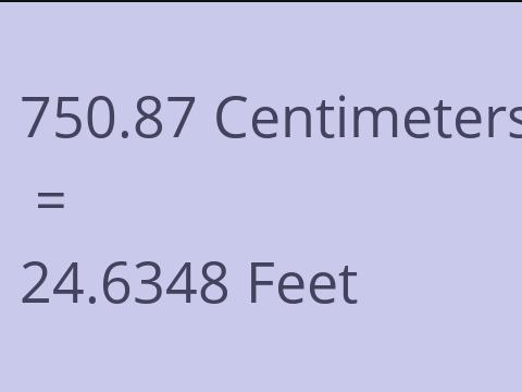 750.87 CM TO FEET