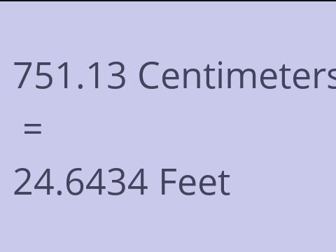 751.13 CM TO FEET