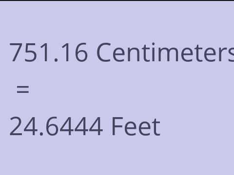 751.16 CM TO FEET