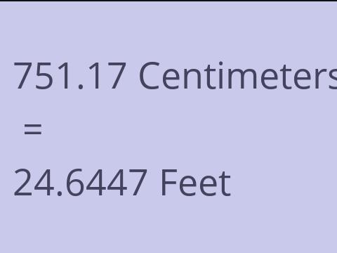 751.17 CM TO FEET