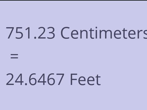 751.23 CM TO FEET