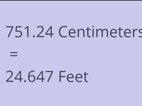 751.24 CM TO FEET