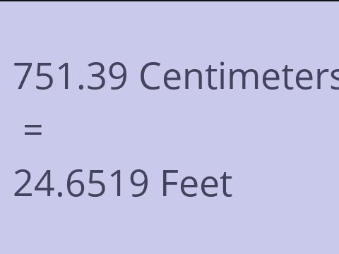 751.39 CM TO FEET