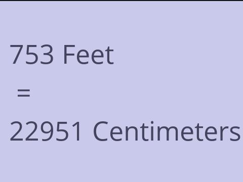 753 FEET TO CM