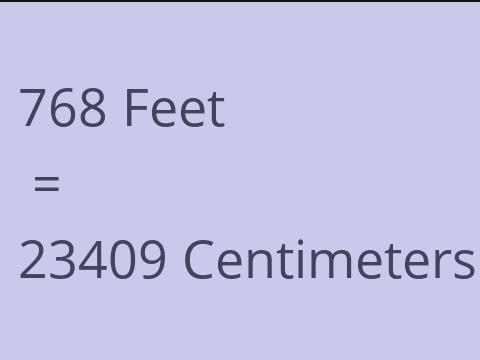 768 FEET TO CM