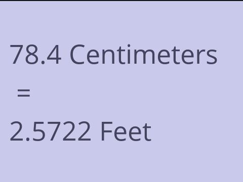 78.4 CM TO FEET