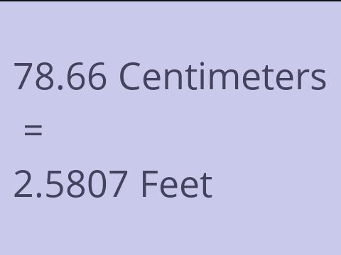 78.66 CM TO FEET