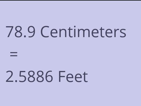 78.9 CM TO FEET