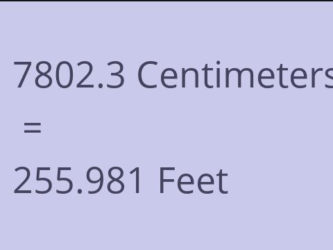 7802.3 CM TO FEET