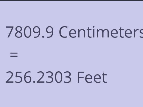 7809.9 CM TO FEET