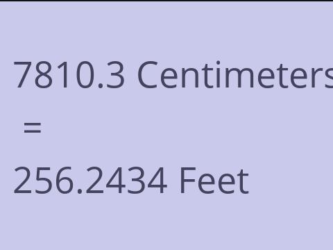 7810.3 CM TO FEET