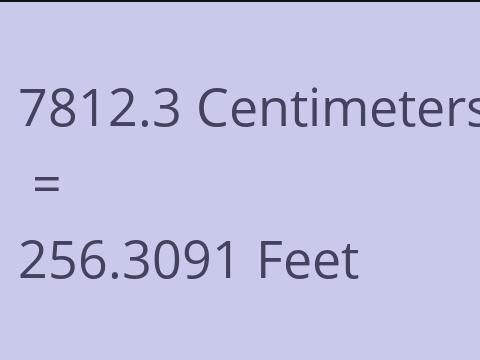 7812.3 CM TO FEET