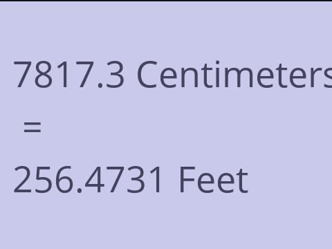 7817.3 CM TO FEET