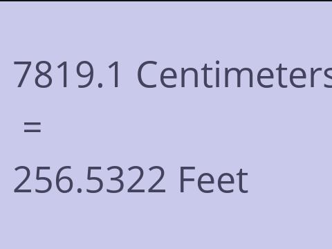 7819.1 CM TO FEET